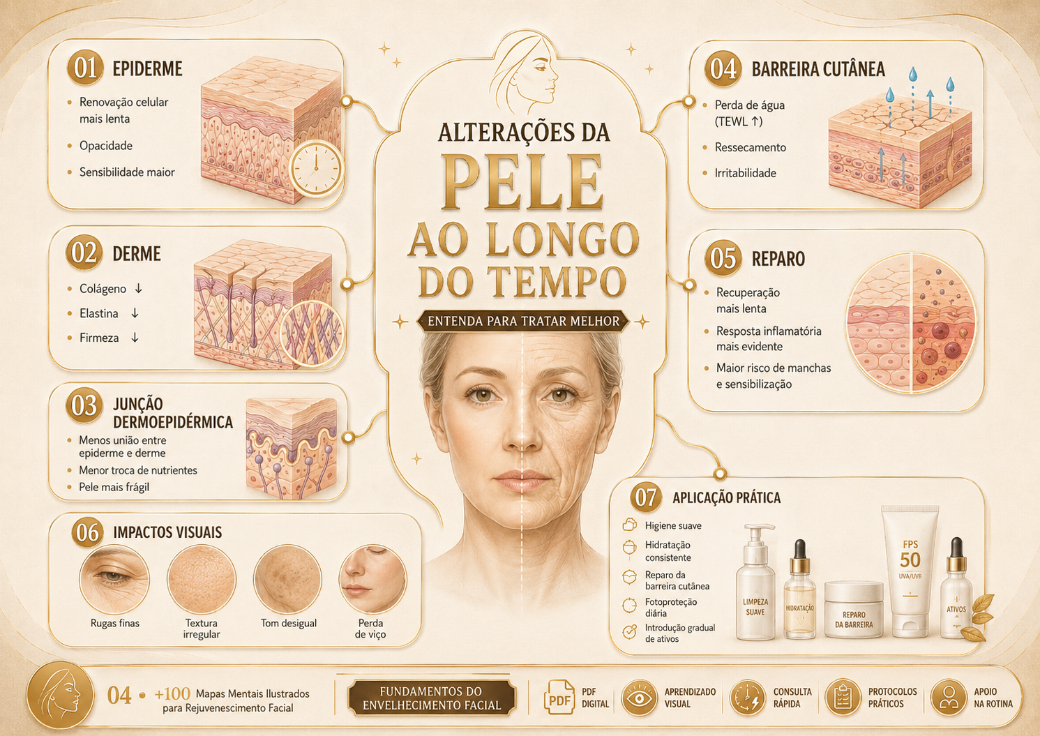 Prévia 3 de +100 Mapas Mentais Ilustrados para Rejuvenescimento Facial