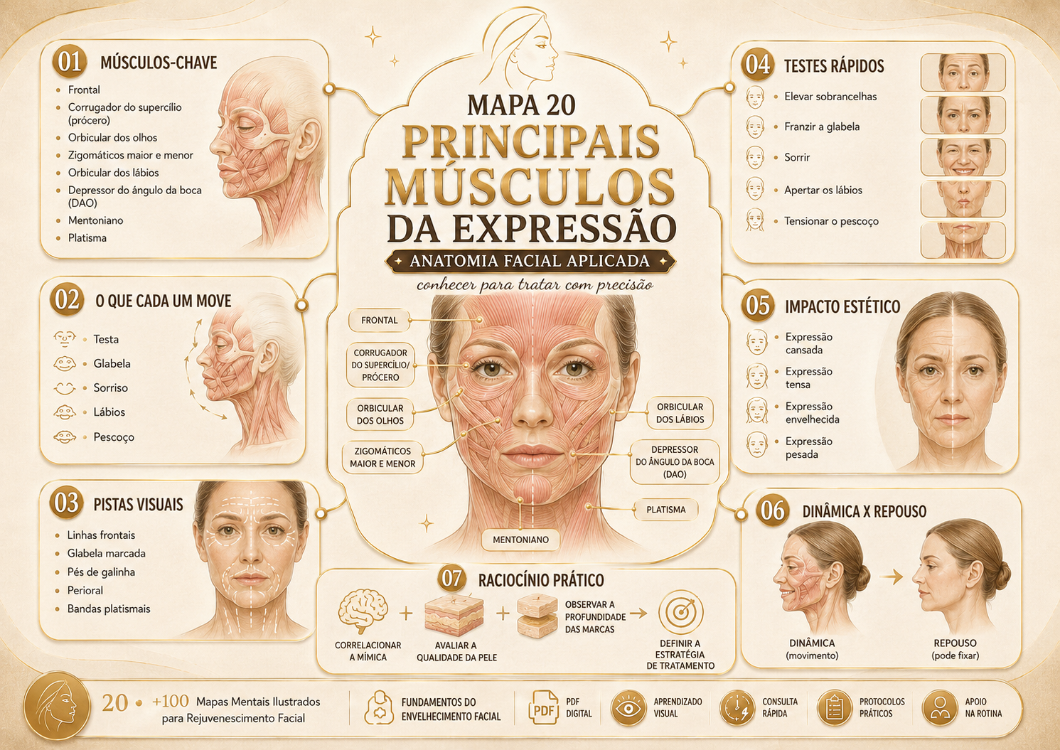 Prévia 2 de +100 Mapas Mentais Ilustrados para Rejuvenescimento Facial